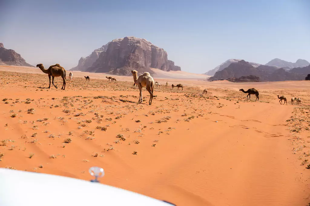 Circuits d'aventure en Jordanie, y compris des courses de marathon, des randonnées à vélo et des trekkings en Jordanie